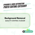 Background Removal Quality Control Flagger